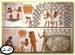 تاریخ طب در مصر باستان