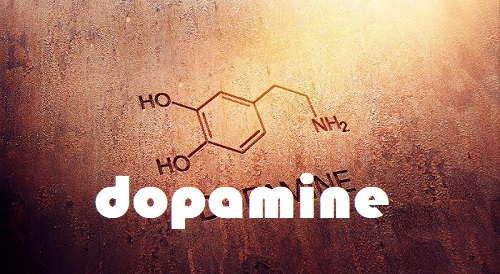 دوپامین چیست ؟ هرچه باید درباره دوپامین بدانید
